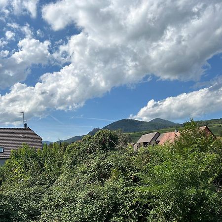 Gite Neuf En Duplex Tout Confort Ribeauville  Exterior photo